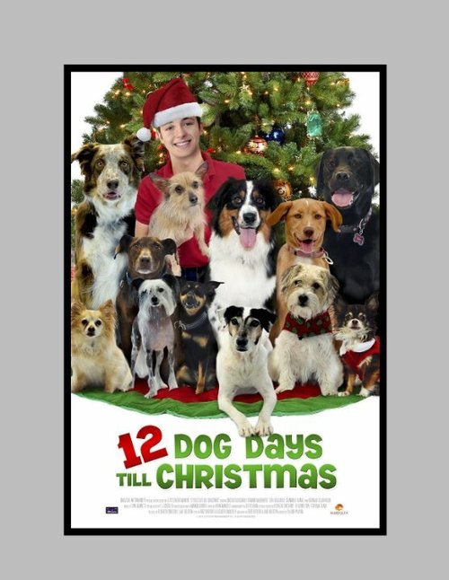12 Dog Days of Christmas  (2014)
